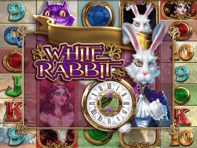 white rabbit gra